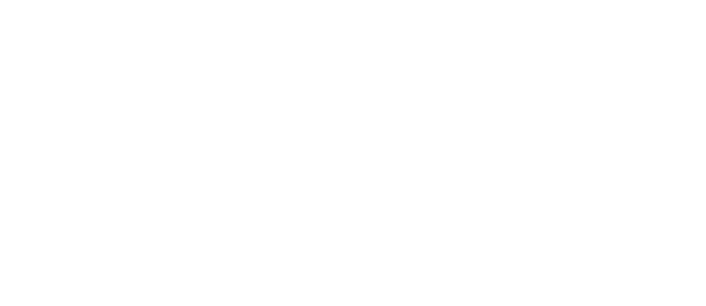 Royal Air Force Logo