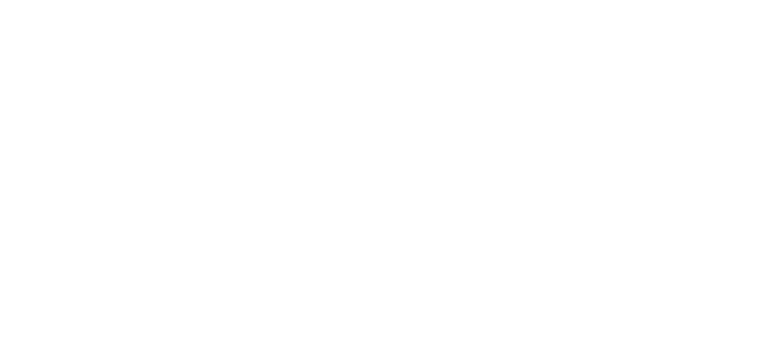 Sunseeker International Logo
